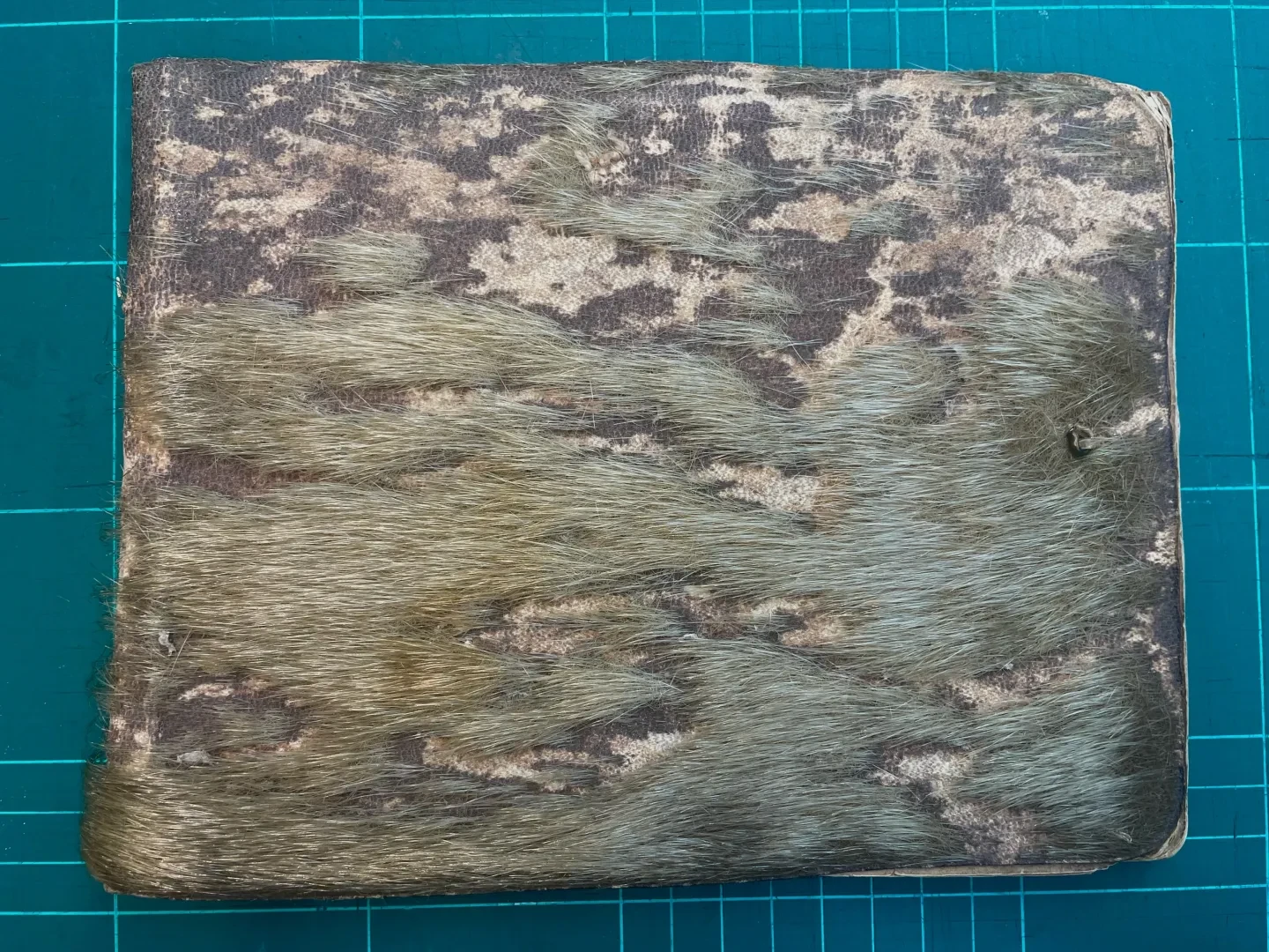 Photograph of the cover of Brett's journal - made of animal hair.