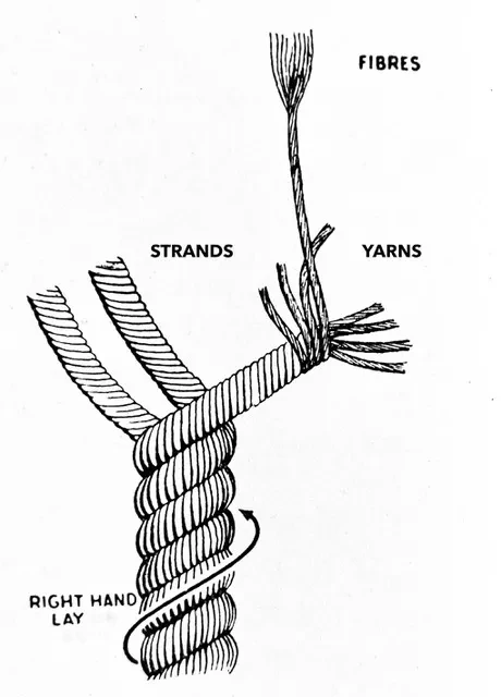 A diagram showing a piece of rope made of three pieces of rope
